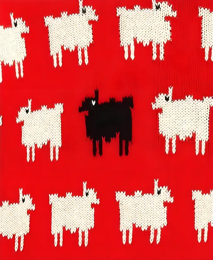 Princess Diana Black Sheep Red Sweater Detailing Image